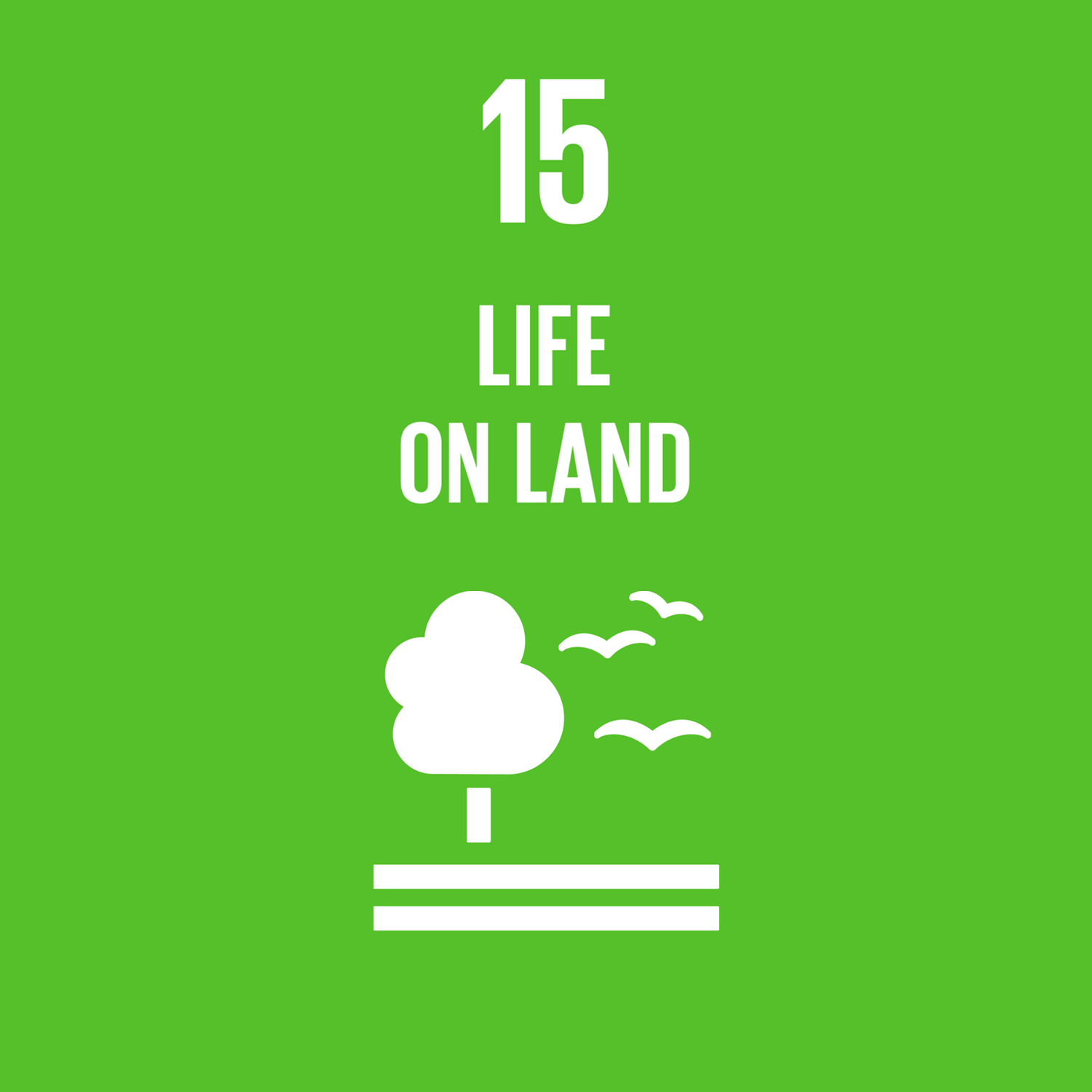 SDG